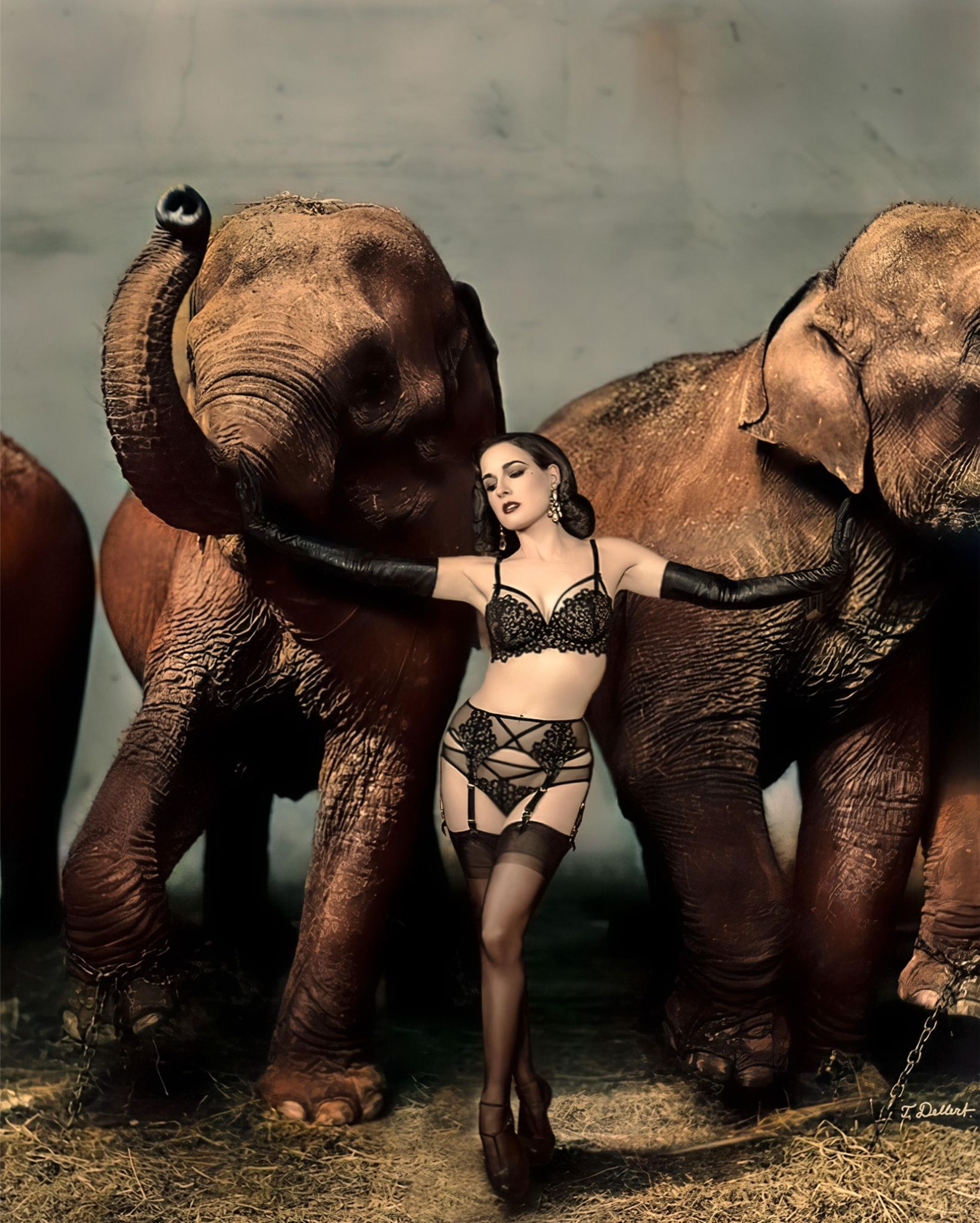 Dita and Richard Avedon 1